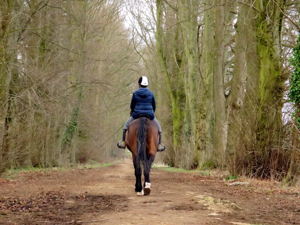 Cavalière casquée sur un chemin boisé de l’Oxfordshire, Angleterre ; photo illustrative